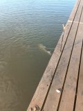 IMG-20250520-WA0010.jpg
