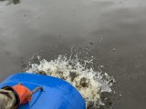 IMG_4488.jpeg