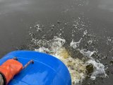 IMG_4490.jpeg