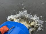 IMG_4493.jpeg