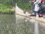 IMG_4494.jpeg