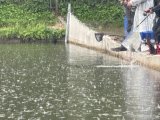IMG_4495.jpeg