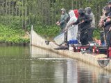 IMG_4503.jpeg
