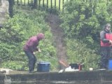 IMG_4525.jpeg
