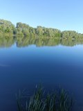 IMG_20250520_065632.jpg