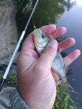 IMG_20250520_064748.jpg