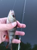 IMG_20250520_061327.jpg