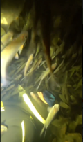 2025-05-20_18-00-39.png