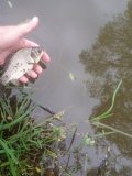 IMG_20250520_123523_372.jpg