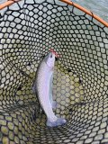 IMG_6265.jpeg