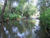 DSCF0674.jpg