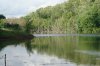 DSC02260.JPG