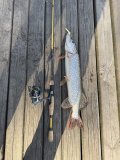 IMG_0849.jpeg
