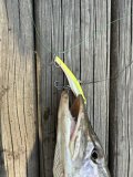 IMG_0852.jpeg