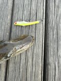 IMG_0843.jpeg