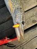IMG_0874.jpeg