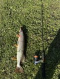 IMG_0888.jpeg