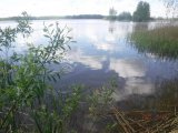 IMG-20250520-WA0054.jpg