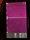 IMG_4040.jpeg