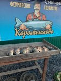 Изображение хрюхрюp 2025-05-20 в 21.06.43_16d1da5f.jpg