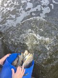 20250521_091111.jpg