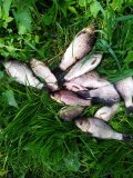 IMG_20250521_105544.jpg