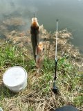 IMG_20250521_094332.jpg