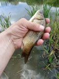 IMG_20250521_144503.jpg