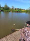 20250521_091603.jpg