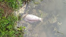 IMG_20250520_081003.jpg