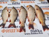 IMG_20250521_193436.jpg