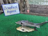 IMG_4790.jpeg
