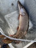 IMG_0424.jpeg