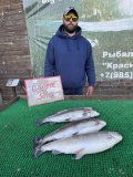 IMG_4792.jpeg
