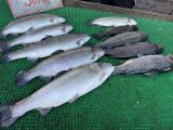 IMG_4807.jpeg