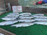 IMG_4812.jpeg