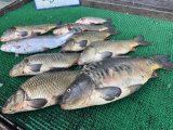 IMG_4788.jpeg