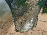 IMG-20250521-WA0025.jpg