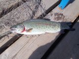 IMG_20250521_104707.jpg