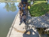 IMG_20250522_093153.jpg