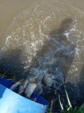 IMG-20250522-WA0035.jpg