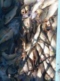IMG-20250522-WA0027.jpg