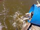IMG-20250522-WA0065.jpg