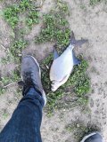 IMG_20250522_171838.jpg