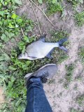IMG_20250522_172543.jpg