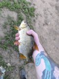 IMG_20250522_174056.jpg