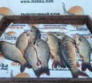 IMG_20250522_194650.jpg