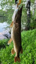 IMG_20250521_202156179~2.jpg