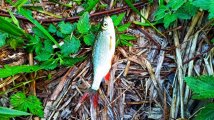 IMG_20250522_100145.jpg