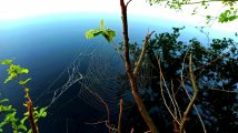 IMG_20250522_100627.jpg